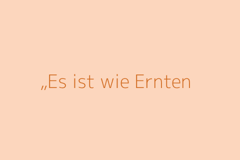 „Es ist wie Ernten